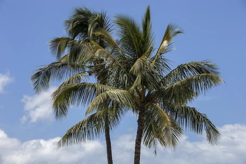 Maui Parkshore By Maui Condo And Home Wailea  United States